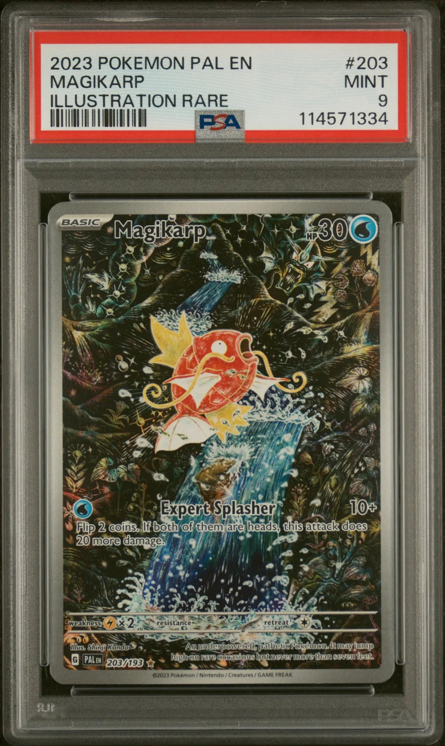 2023 POKEMON PAL EN-PALDEA EVOLVED ILLUSTRATION RARE #203 MAGIKARP PSA 9 - Doe's Cards