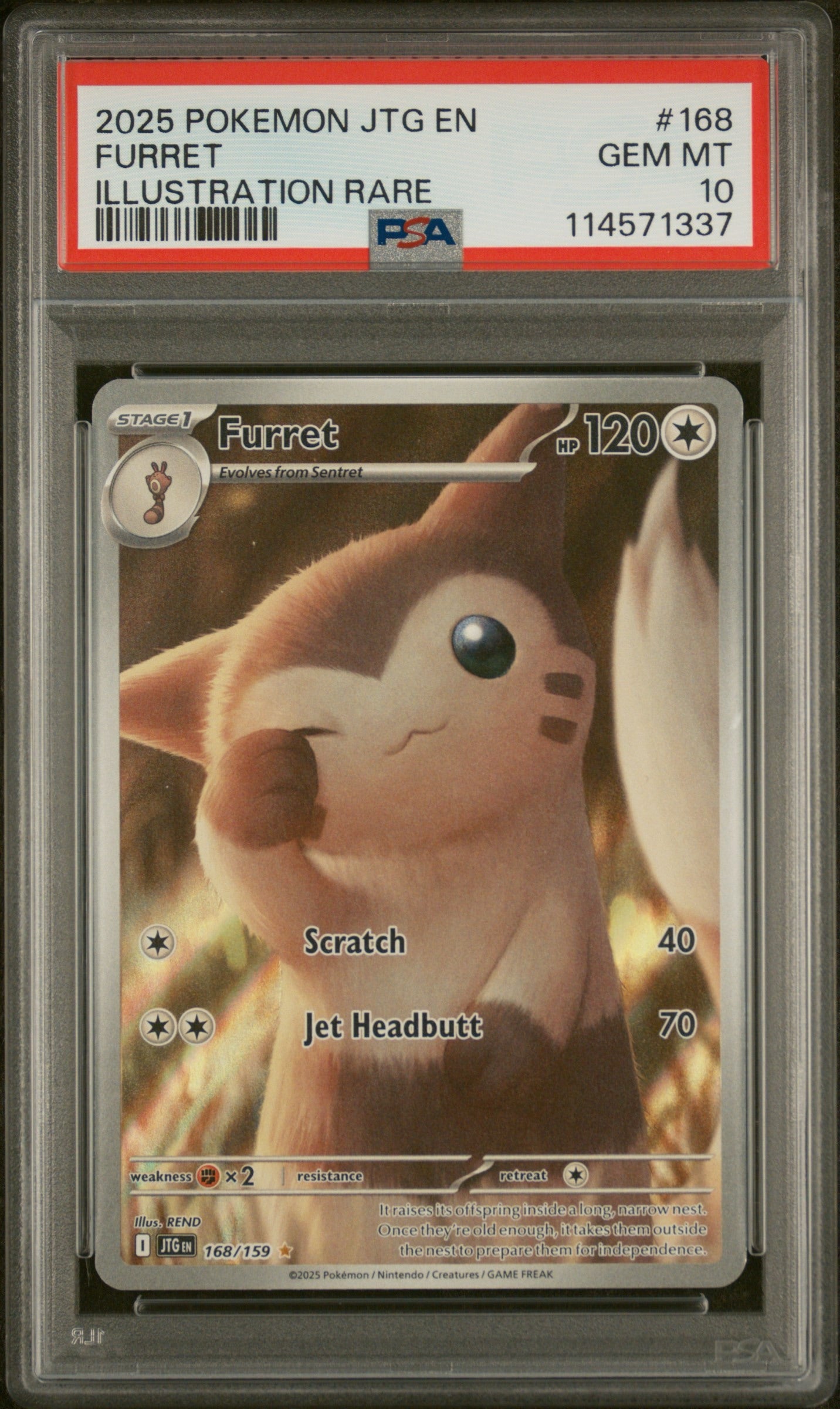 2025 POKEMON JTG EN-JOURNEY TOGETHER ILLUSTRATION RARE #168 FURRET PSA 10 - Doe's Cards
