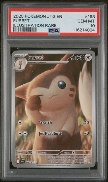 2025 POKEMON JTG EN-JOURNEY TOGETHER #168 FURRET ILLUSTRATION RARE PSA 10 - Doe's Cards
