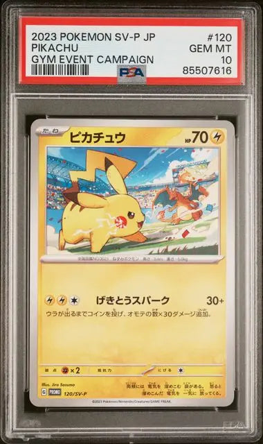 PSA 10 - 2023 POKEMON JAPANESE SV-P PROMO #120 PIKACHU GYM EVENT CAMPAIGN - Doe's Cards
