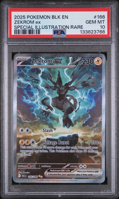 PSA 10 - 2025 POKEMON BLK EN-BLACK BOLT #166 ZEKROM ex SPECIAL ILLUSTRATION RARE Doe's Cards