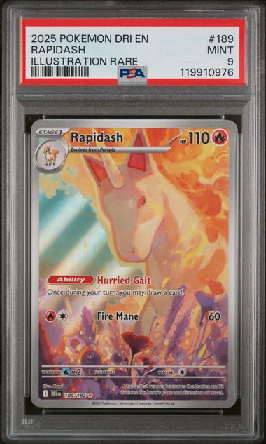 PSA 9 -2025 POKEMON DRI EN-DESTINED RIVALS #189 RAPIDASH ILLUSTRATION RARE - Doe's Cards