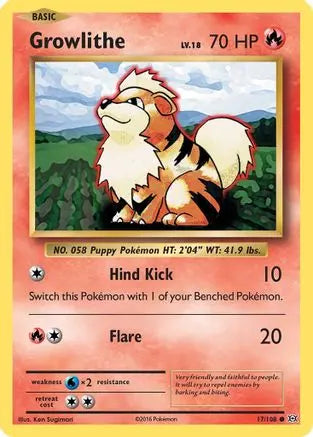 Growlithe (17/108) [XY: Evolutions] Pokémon