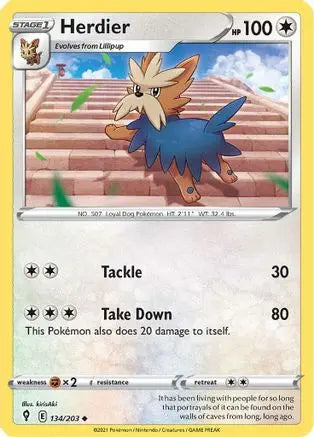 Herdier (134/203) [Sword & Shield: Evolving Skies] Pokémon