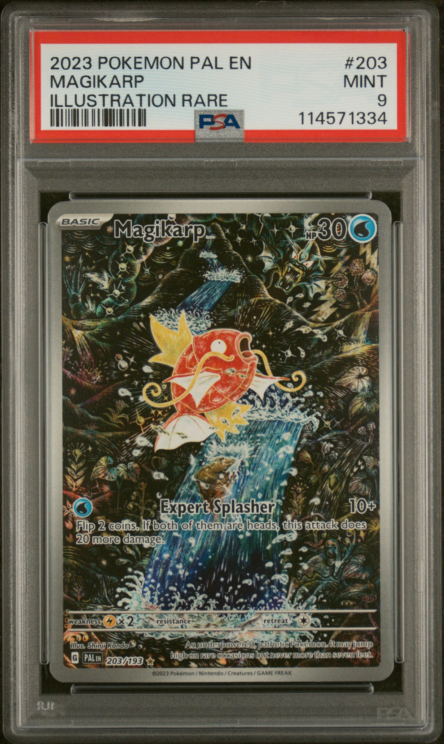 2023 POKEMON PAL EN-PALDEA EVOLVED ILLUSTRATION RARE #203 MAGIKARP PSA 9 - Doe's Cards
