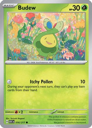 Budew 016/217  - Reverse Holofoil ME Ascended Heroes - Common ME: Ascended Heroes