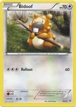Bidoof (29/39) [XY: Kalos Starter Set] Pokémon