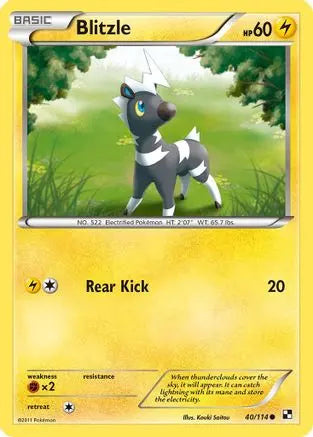 Blitzle (40/114) [Black & White: Base Set] Pokémon