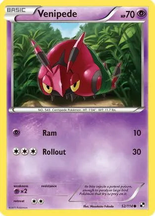Venipede (52/114) [Black & White: Base Set] Pokémon