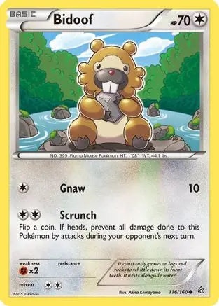 Bidoof (116/160) [XY: Primal Clash] Pokémon