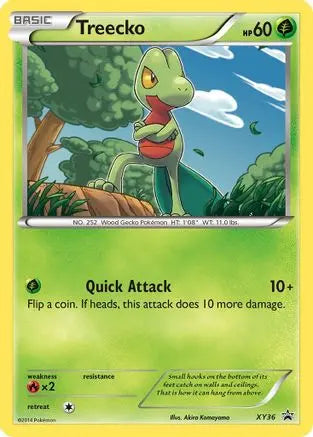 Treecko (XY36) [XY: Black Star Promos] Pokémon