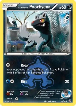 Team Aqua's Poochyena (16/34) [XY: Double Crisis] Pokémon