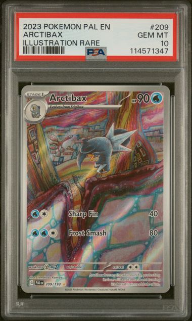 PSA 10 - 2023 POKEMON PAL EN-PALDEA EVOLVED #209 ARCTIBAX ILLUSTRATION RARE - Doe's Cards
