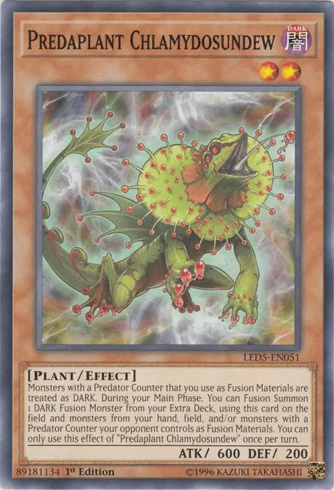 Predaplant Chlamydosundew [LED5-EN051] Common - Doe's Cards