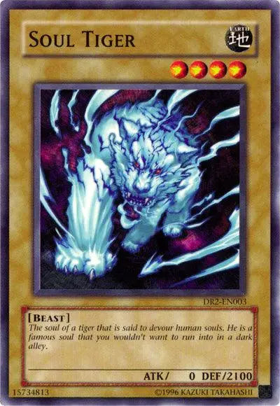 Soul Tiger [DR2-EN003] Common - Doe's Cards