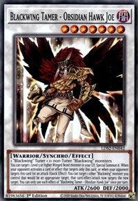 Blackwing Tamer - Obsidian Hawk Joe [LDS2-EN042] Common - Doe's Cards