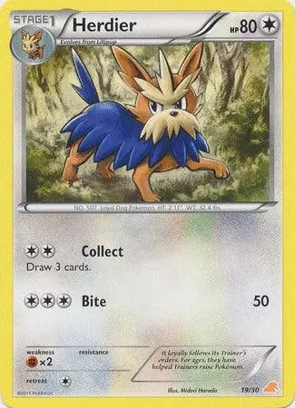 Herdier (19/30) [Black & White: Trainer Kit] - Doe's Cards