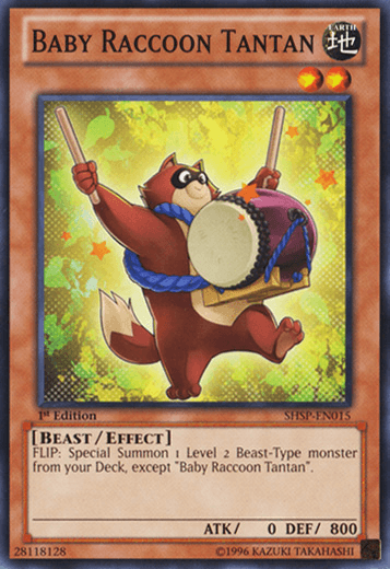 Baby Raccoon Tantan [SHSP-EN015] Common - Doe's Cards