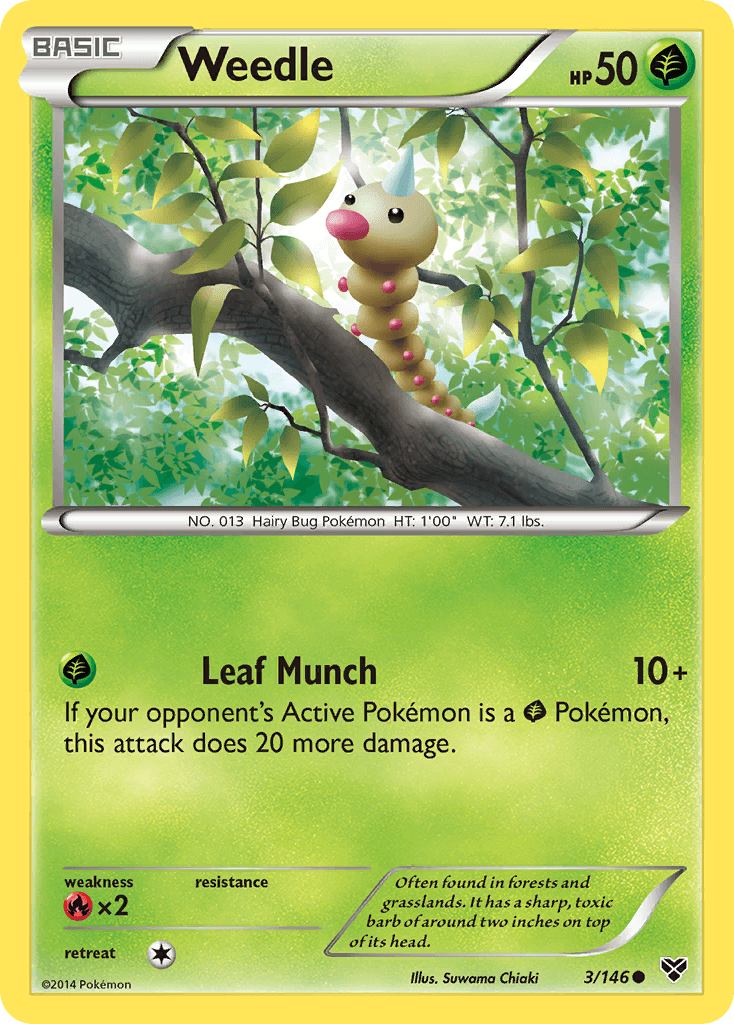 Weedle (3/146) [XY: Base Set] - Doe's Cards