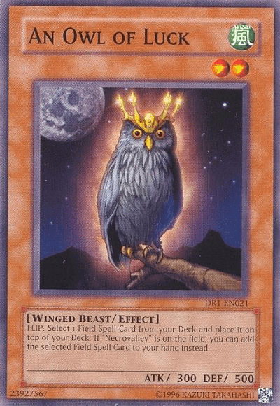 An Owl of Luck [DR1-EN021] Common - Doe's Cards