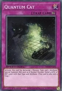 Quantum Cat [SBCB-EN200] Common - Doe's Cards