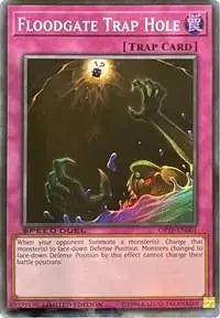 Floodgate Trap Hole [OTPT-EN001] Super Rare - Doe's Cards