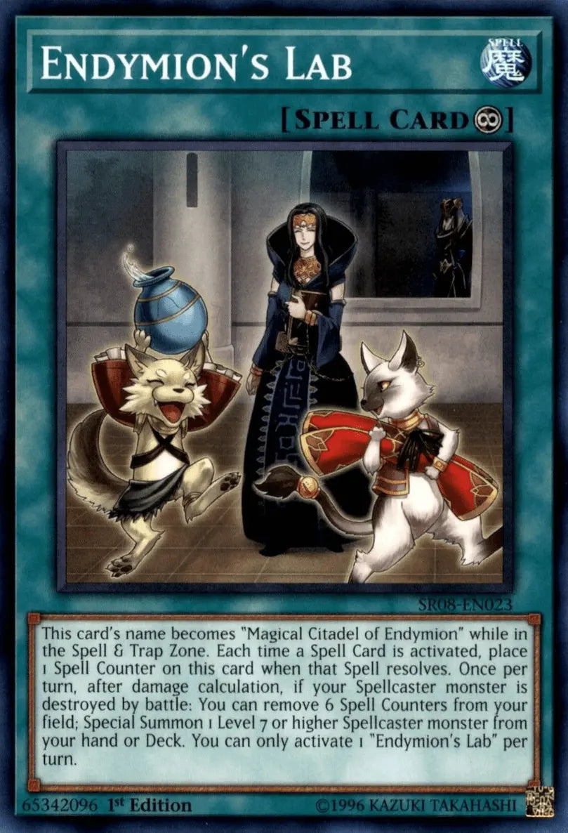 Endymion's Lab [SR08-EN023] Common - Doe's Cards