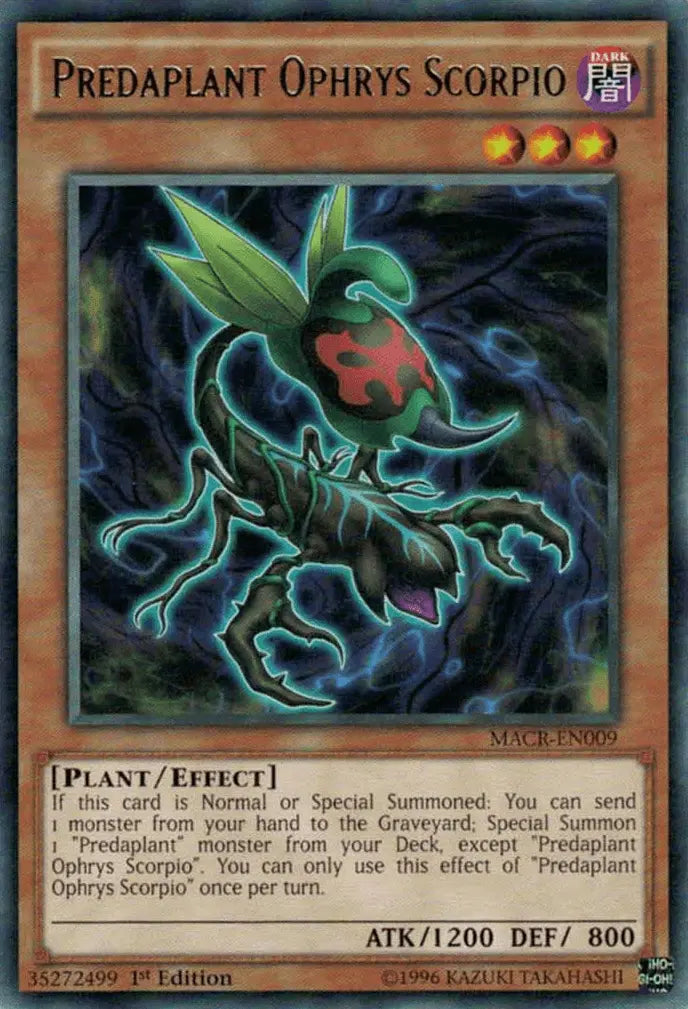 Predaplant Ophrys Scorpio [MACR-EN009] Rare - Doe's Cards