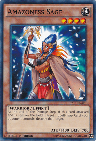 Amazoness Sage [YS14-ENA06] Common - Doe's Cards