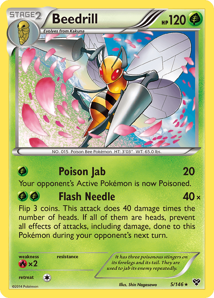 Beedrill (5/146) [XY: Base Set] - Doe's Cards