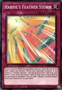 Harpie's Feather Storm [LDS2-EN088] Common - Doe's Cards