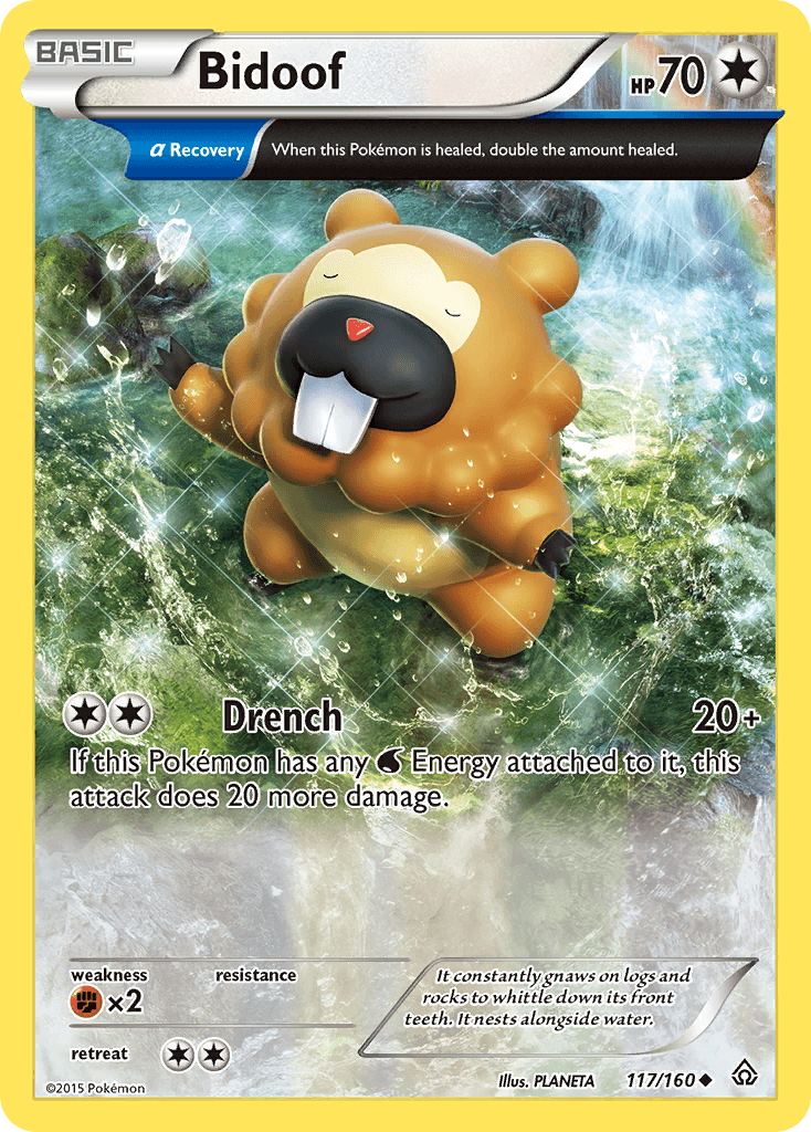 Bidoof (117/160) [XY: Primal Clash] - Doe's Cards