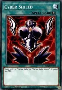 Cyber Shield [LDS2-EN079] Common - Doe's Cards