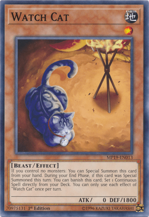 Watch Cat [MP19-EN013] Common - Doe's Cards