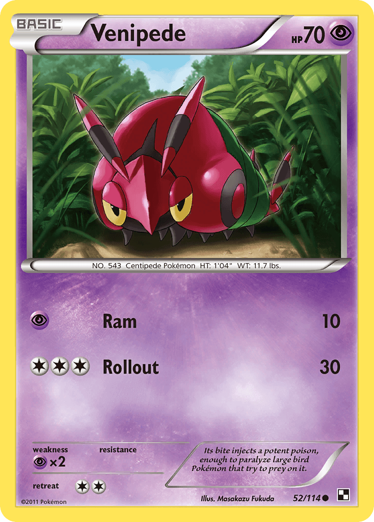 Venipede (52/114) [Black & White: Base Set] - Doe's Cards