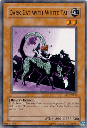 Dark Cat with White Tail [DR1-EN138] Common - Doe's Cards