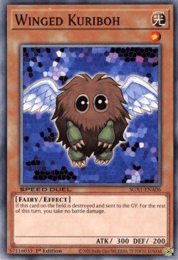 Winged Kuriboh [SGX1-ENA06] Common - Doe's Cards