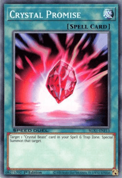 Crystal Promise [SGX1-ENF13] Common - Doe's Cards