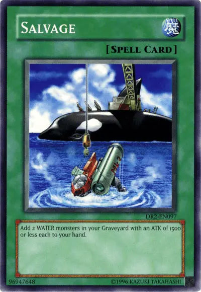 Salvage [DR2-EN097] Common - Doe's Cards