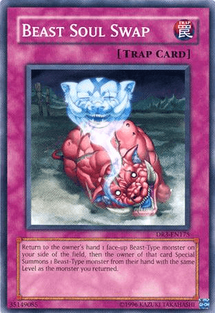 Beast Soul Swap [DR3-EN175] Common - Doe's Cards