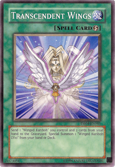 Transcendent Wings [DR04-EN045] Common - Doe's Cards