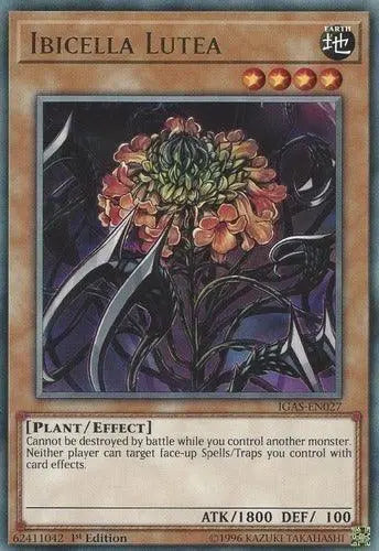 Ibicella Lutea [MP21-EN009] Common - Doe's Cards