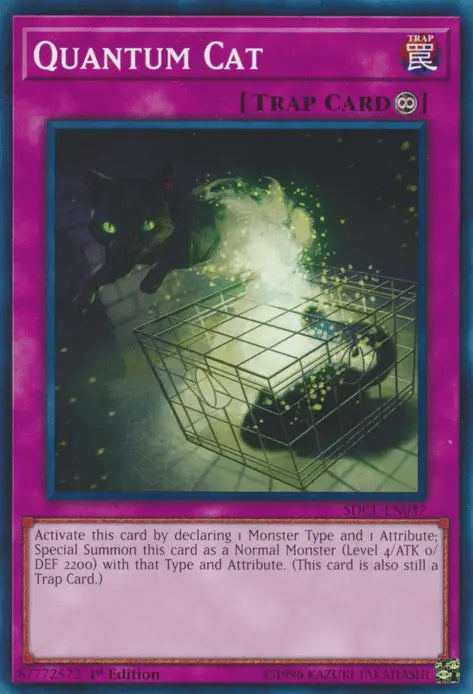 Quantum Cat [SDCL-EN037] Common - Doe's Cards