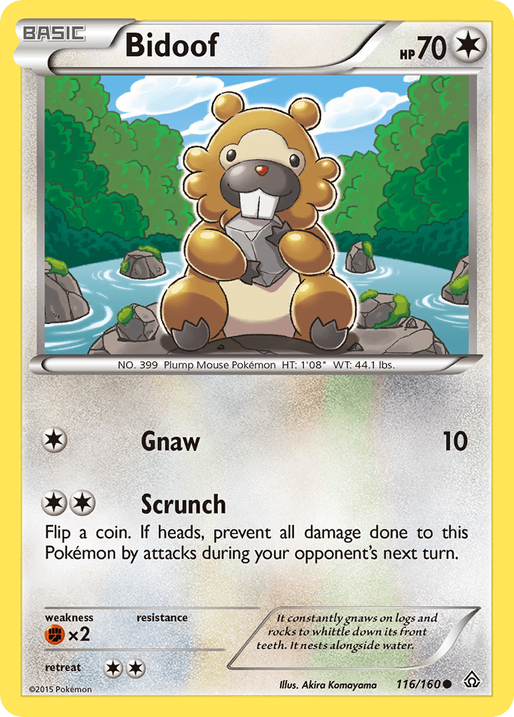 Bidoof (116/160) [XY: Primal Clash] - Doe's Cards